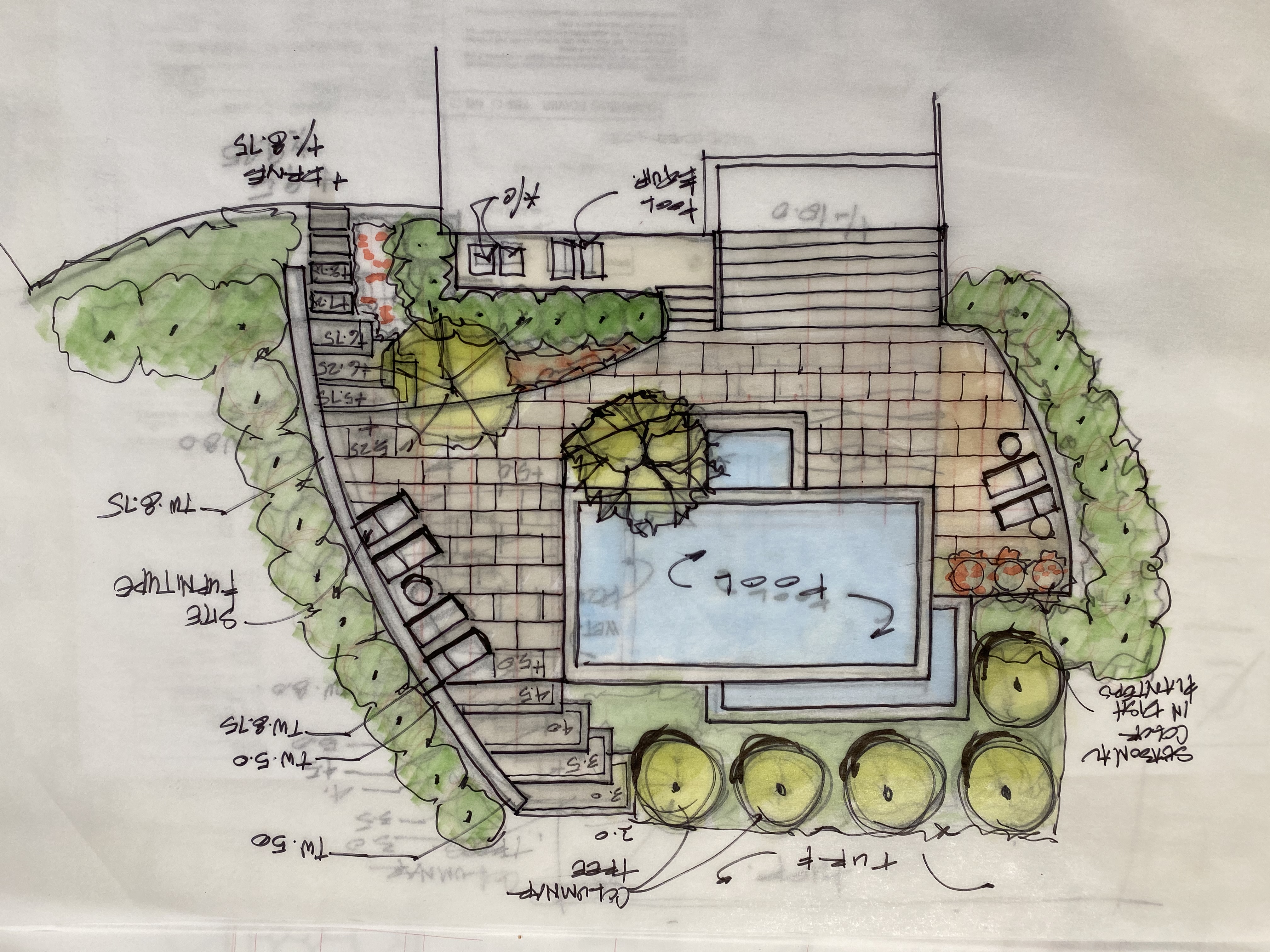 Freeman Residence Pool Design